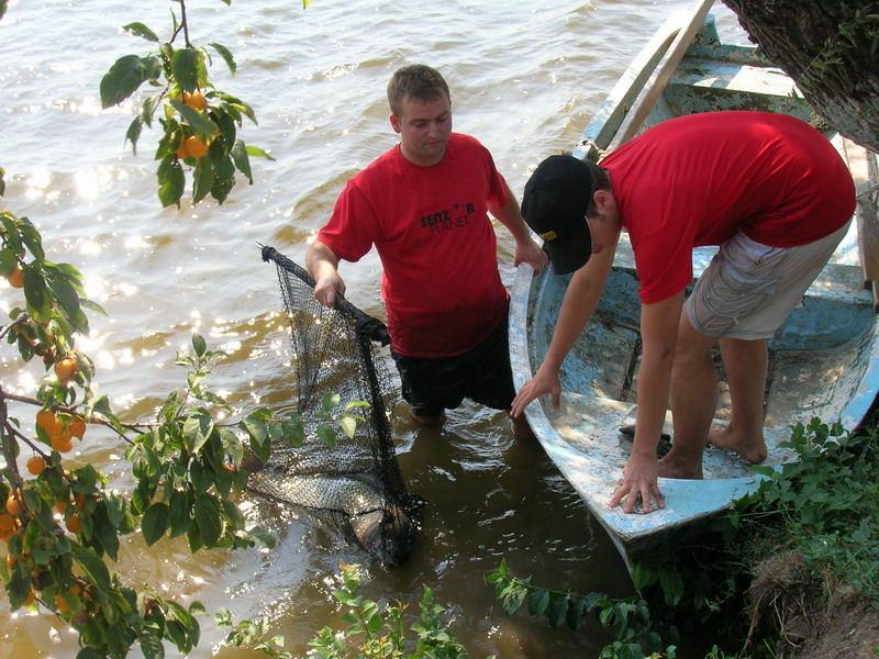 senzor peste tot - 83792644bx4.jpg